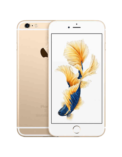 iPhone 6s/6s Plus Bypass Service